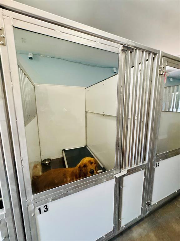 9 CHURCH ROAD, GEORGE'S BROOK-MILTON, Newfoundland, Canada A5A 0H9, ,0,Commercial,Reduced,CHURCH ROAD,5978