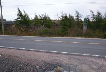263-265 BACK TRACK ROAD, TILTON, Newfoundland, Canada A0A 3X0, ,Land,For Sale,BACK TRACK ROAD,5987