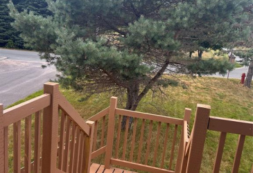 24 COLEY'S POINT SOUTH ROAD, BAY ROBERTS, Newfoundland, Canada A0A 1X0, ,2 BathroomsBathrooms,Residential,For Sale,COLEY'S POINT SOUTH ROAD,5993