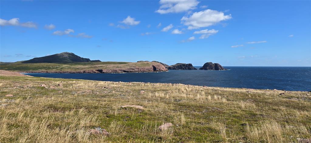 0 FOGHARTY'S ROAD, BAINE HARBOUR, Newfoundland, Canada A0E 1A0, ,Land,For Sale,FOGHARTY'S ROAD,5994