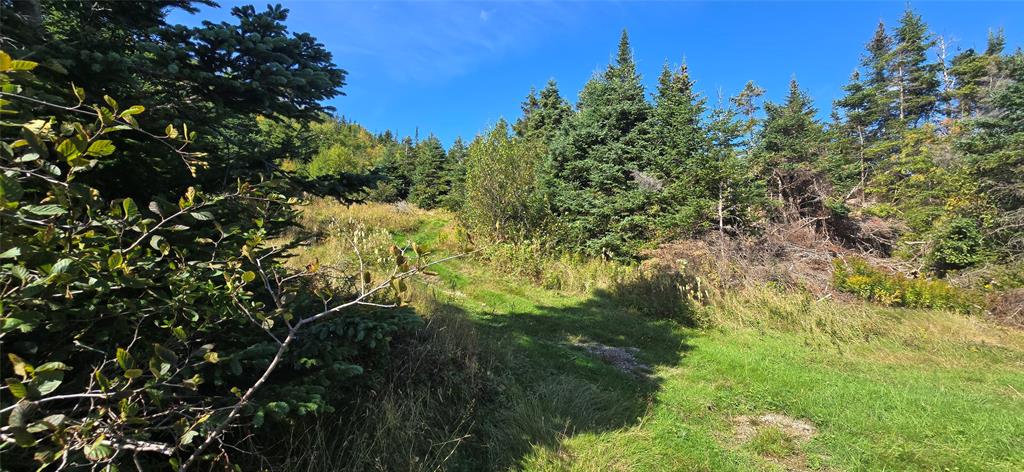 0 FOGHARTY'S ROAD, BAINE HARBOUR, Newfoundland, Canada A0E 1A0, ,Land,For Sale,FOGHARTY'S ROAD,5994