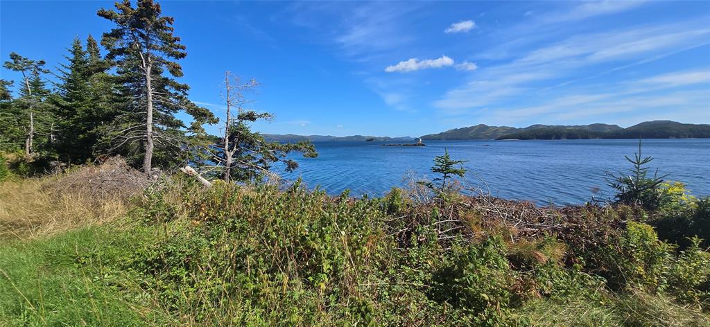0 FOGHARTY'S ROAD, BAINE HARBOUR, Newfoundland, Canada A0E 1A0, ,Land,For Sale,FOGHARTY'S ROAD,5994