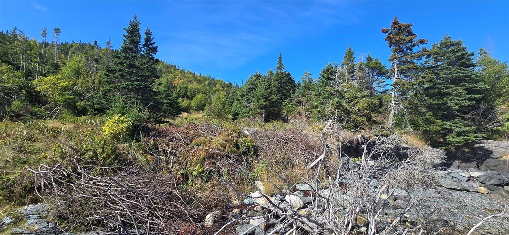 0 FOGHARTY'S ROAD, BAINE HARBOUR, Newfoundland, Canada A0E 1A0, ,Land,For Sale,FOGHARTY'S ROAD,5994