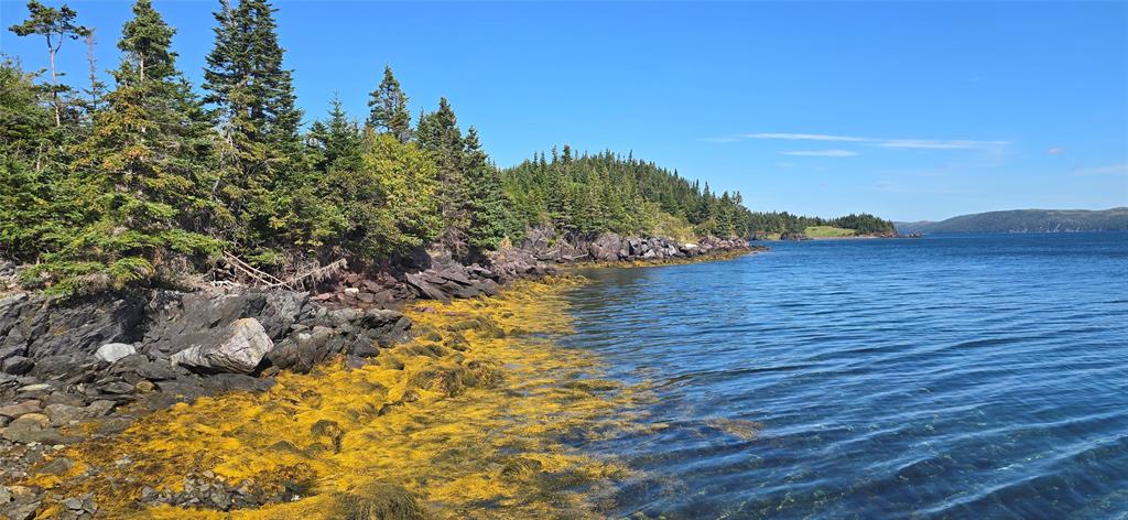 0 FOGHARTY'S ROAD, BAINE HARBOUR, Newfoundland, Canada A0E 1A0, ,Land,For Sale,FOGHARTY'S ROAD,5994