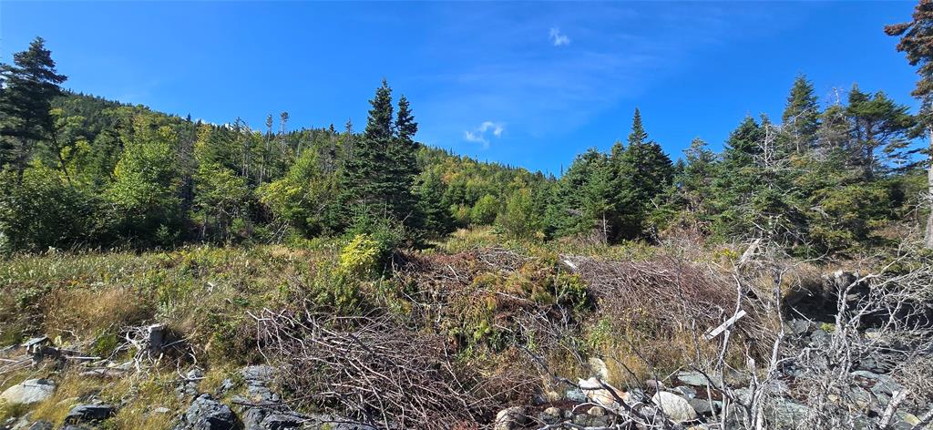 0 FOGHARTY'S ROAD, BAINE HARBOUR, Newfoundland, Canada A0E 1A0, ,Land,For Sale,FOGHARTY'S ROAD,5994