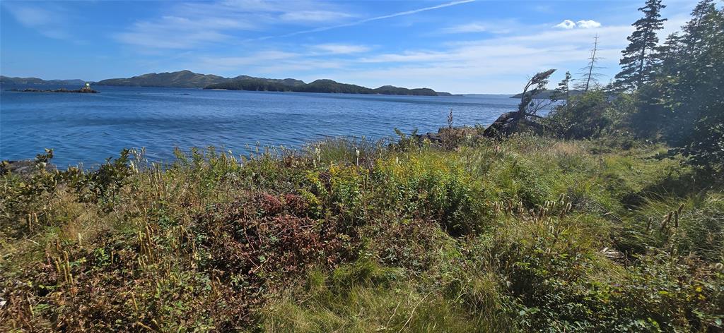 0 FOGHARTY'S ROAD, BAINE HARBOUR, Newfoundland, Canada A0E 1A0, ,Land,For Sale,FOGHARTY'S ROAD,5994