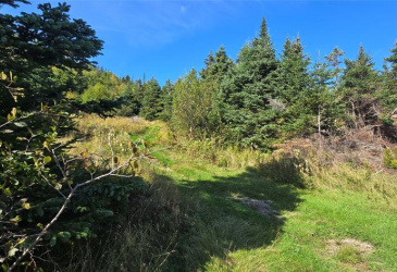 0 FOGHARTY'S ROAD, BAINE HARBOUR, Newfoundland, Canada A0E 1A0, ,Land,For Sale,FOGHARTY'S ROAD,5994