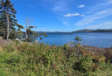0 FOGHARTY'S ROAD, BAINE HARBOUR, Newfoundland, Canada A0E 1A0, ,Land,For Sale,FOGHARTY'S ROAD,5994