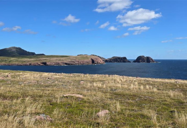 0 FOGHARTY'S ROAD, BAINE HARBOUR, Newfoundland, Canada A0E 1A0, ,Land,For Sale,FOGHARTY'S ROAD,5994