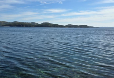 0 FOGHARTY'S ROAD, BAINE HARBOUR, Newfoundland, Canada A0E 1A0, ,Land,For Sale,FOGHARTY'S ROAD,5994