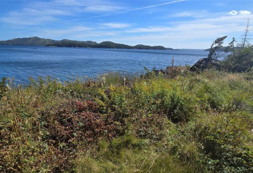 0 FOGHARTY'S ROAD, BAINE HARBOUR, Newfoundland, Canada A0E 1A0, ,Land,For Sale,FOGHARTY'S ROAD,5994