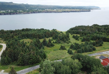 32-46 WOODROW'S ROAD, NORTHERN BAY, Newfoundland, Canada A0A 3B0, ,Land,For Sale,WOODROW'S ROAD,5996