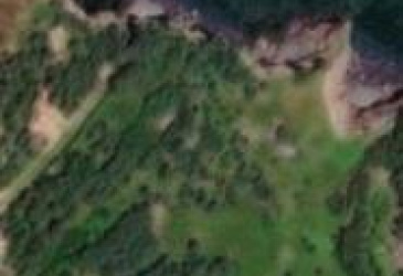 32-46 WOODROW'S ROAD, NORTHERN BAY, Newfoundland, Canada A0A 3B0, ,Land,For Sale,WOODROW'S ROAD,5996