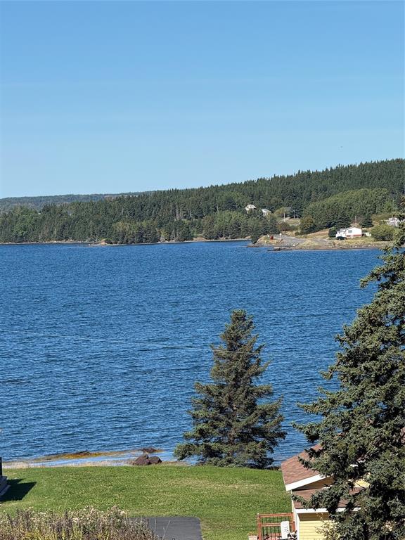 182 BAYSIDE DRIVE, LETHBRIDGE, Newfoundland, Canada A0C 1V0, ,1 BathroomBathrooms,Residential,For Sale,BAYSIDE DRIVE,5997