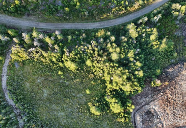 0B NORTH WEST ROAD, MARYSTOWN, Newfoundland, Canada A0E 2M0, ,Land,For Sale,NORTH WEST ROAD,6000