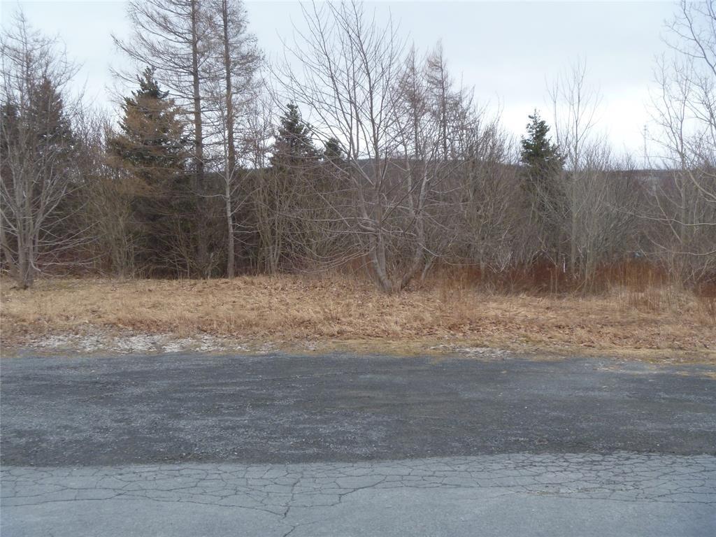 15 POWELL DRIVE, CARBONEAR, Newfoundland, Canada A1Y 1A5, ,Commercial,For Sale,POWELL DRIVE,6002