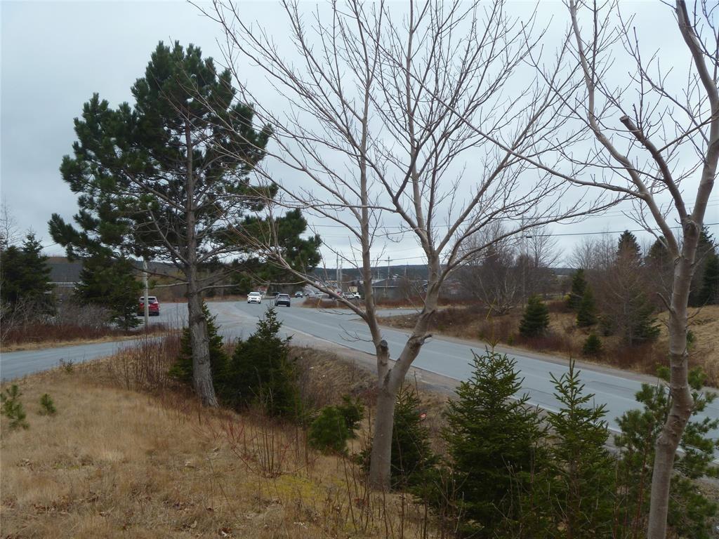 15 POWELL DRIVE, CARBONEAR, Newfoundland, Canada A1Y 1A5, ,Commercial,For Sale,POWELL DRIVE,6002
