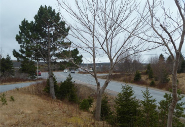 15 POWELL DRIVE, CARBONEAR, Newfoundland, Canada A1Y 1A5, ,Commercial,For Sale,POWELL DRIVE,6002