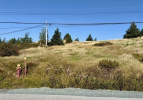 0 MAIN ROAD, SUNNYSIDE, Newfoundland, Canada A0B 3J0, ,Residential,For Sale,MAIN ROAD,6007