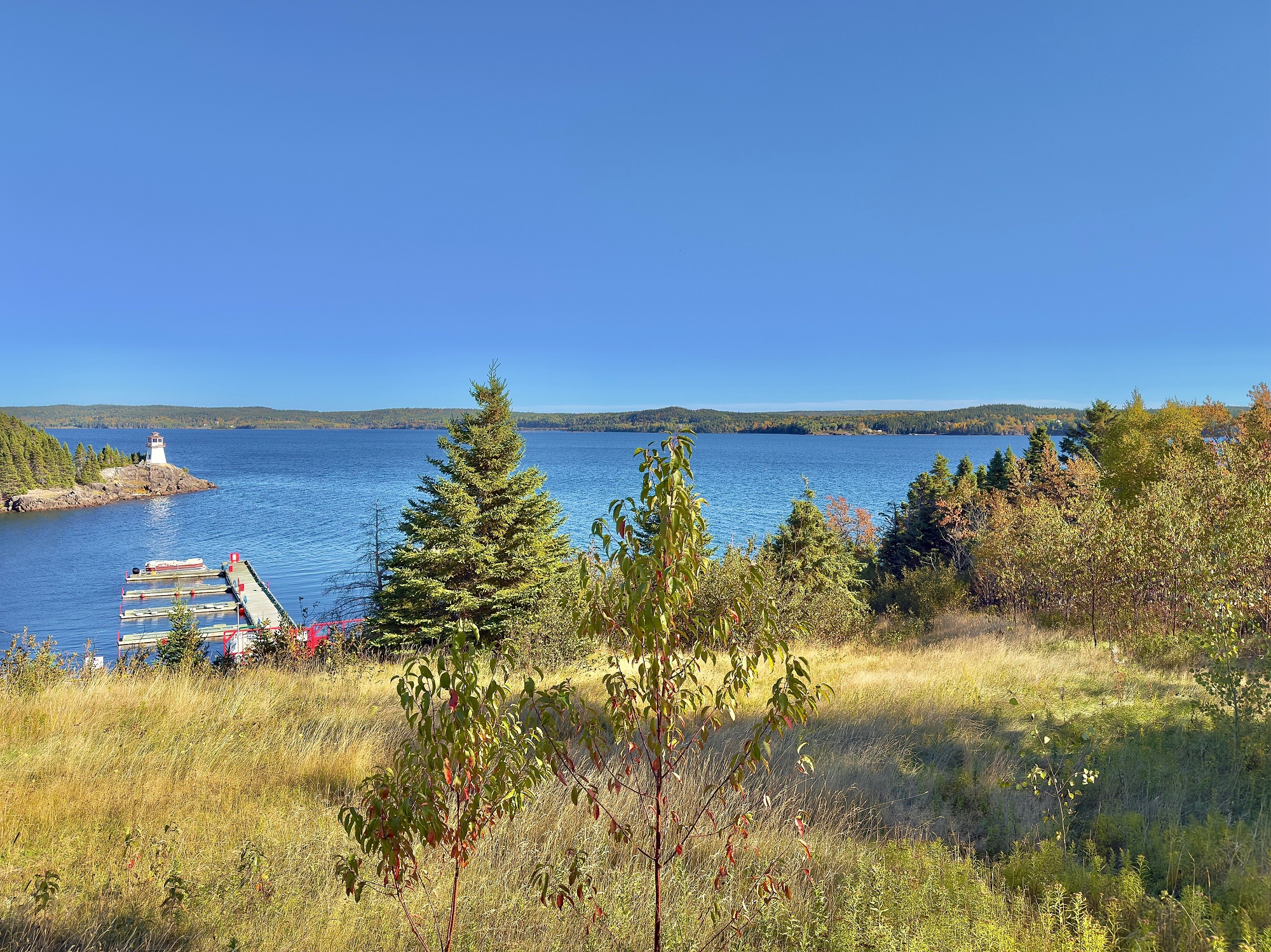 148 GOOSE BAY DRIVE, MUSGRAVETOWN, Newfoundland, Canada A0C 1A0, ,Residential,For Sale,GOOSE BAY DRIVE,6008