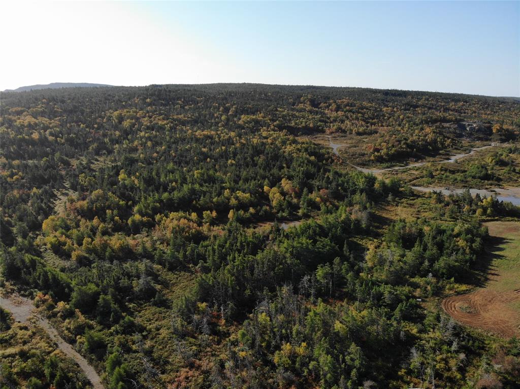 800A Country Road, BAY ROBERTS, Newfoundland, Canada A0A 1G0, ,Land,For Sale,Country Road,6009