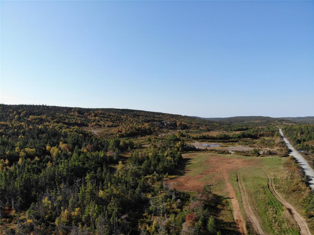 800A Country Road, BAY ROBERTS, Newfoundland, Canada A0A 1G0, ,Land,For Sale,Country Road,6009