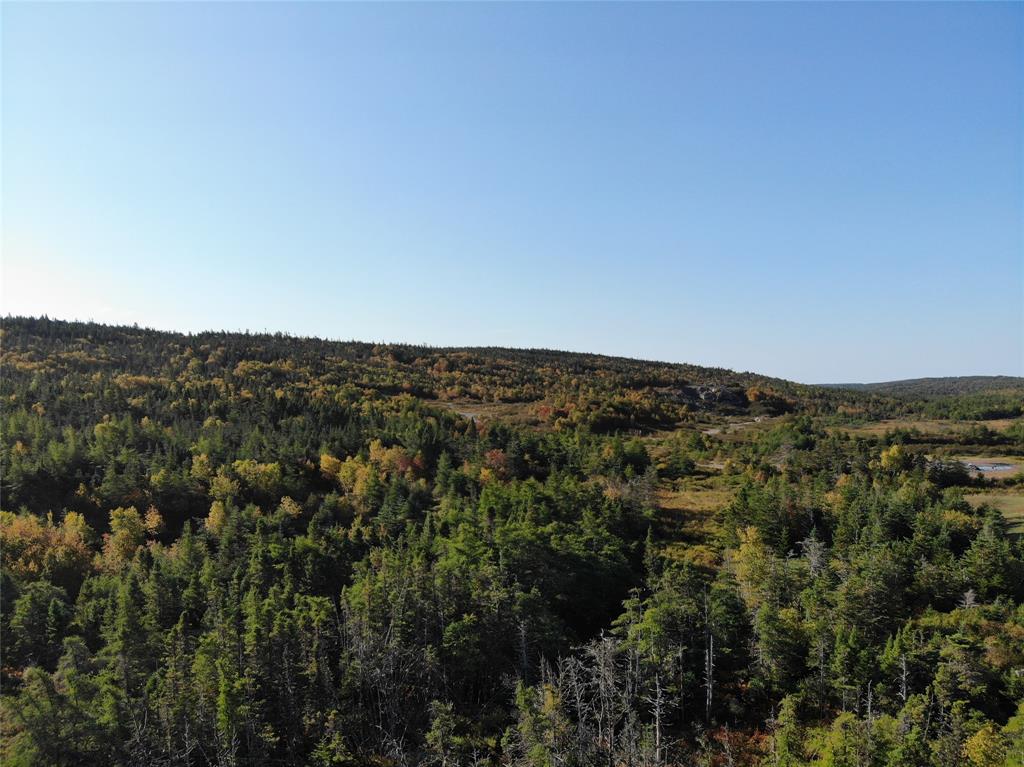 800A Country Road, BAY ROBERTS, Newfoundland, Canada A0A 1G0, ,Land,For Sale,Country Road,6009