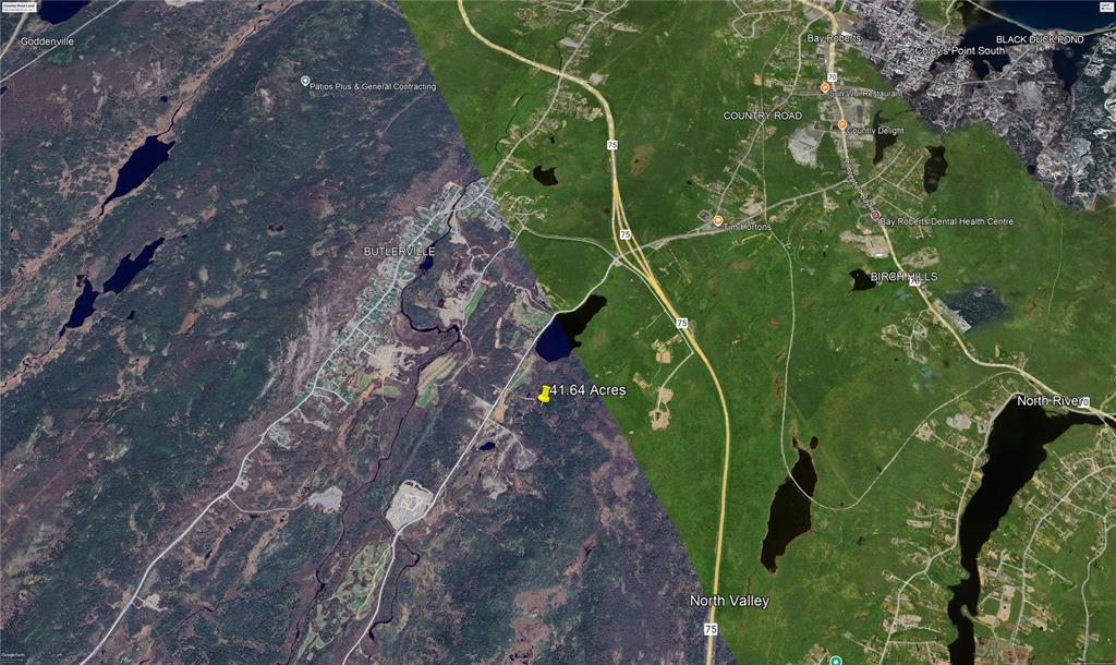 800A Country Road, BAY ROBERTS, Newfoundland, Canada A0A 1G0, ,Land,For Sale,Country Road,6009