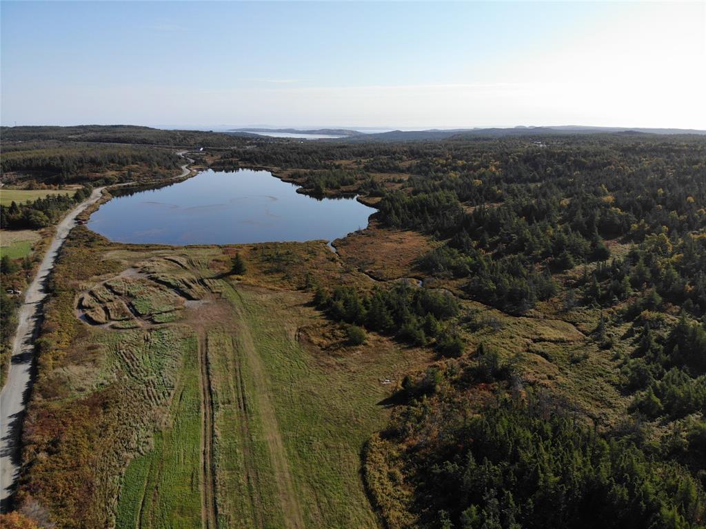 800A Country Road, BAY ROBERTS, Newfoundland, Canada A0A 1G0, ,Land,For Sale,Country Road,6009