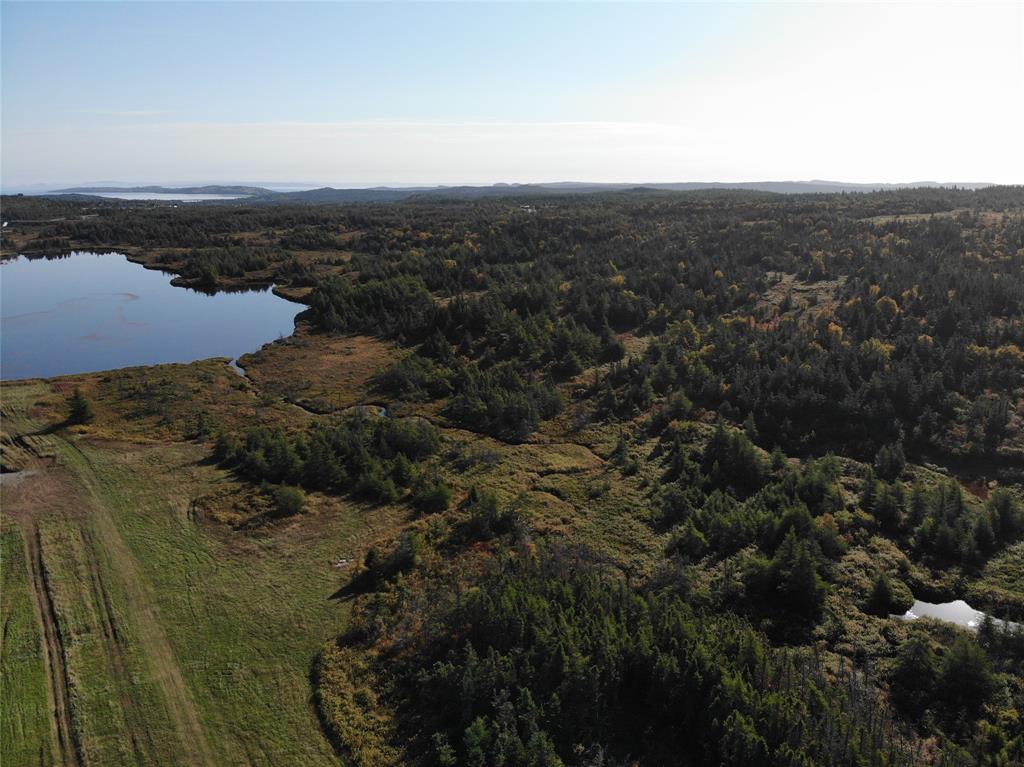 800A Country Road, BAY ROBERTS, Newfoundland, Canada A0A 1G0, ,Land,For Sale,Country Road,6009