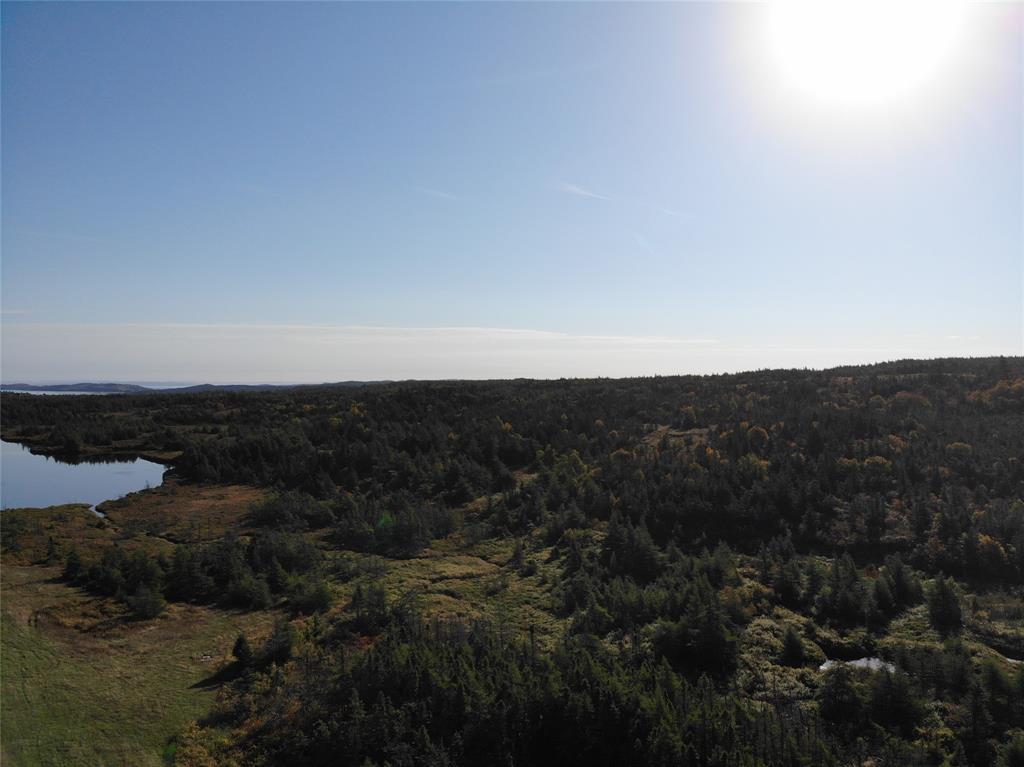 800A Country Road, BAY ROBERTS, Newfoundland, Canada A0A 1G0, ,Land,For Sale,Country Road,6009
