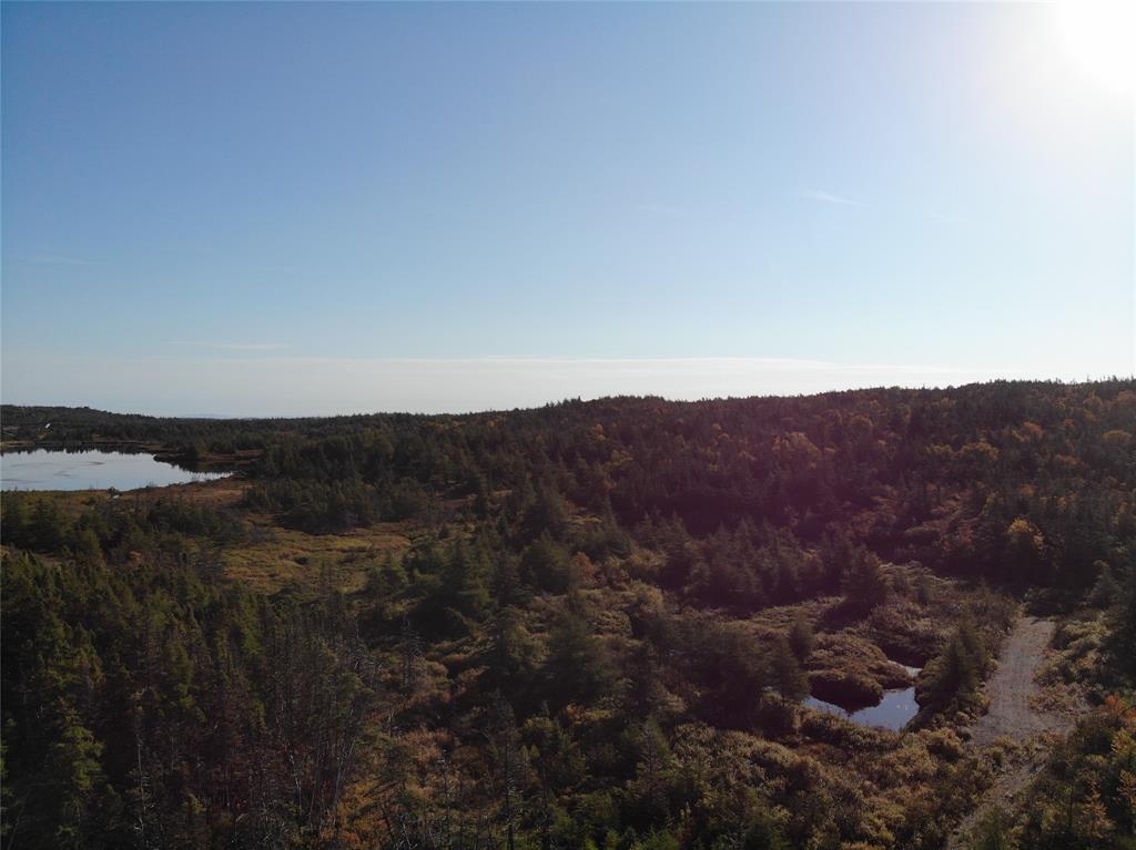 800A Country Road, BAY ROBERTS, Newfoundland, Canada A0A 1G0, ,Land,For Sale,Country Road,6009