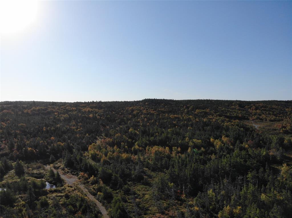 800A Country Road, BAY ROBERTS, Newfoundland, Canada A0A 1G0, ,Land,For Sale,Country Road,6009