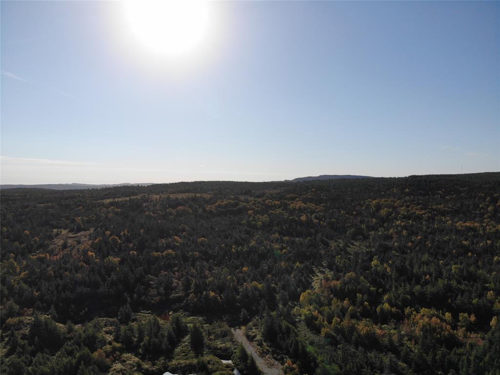 800A Country Road, BAY ROBERTS, Newfoundland, Canada A0A 1G0, ,Land,For Sale,Country Road,6009