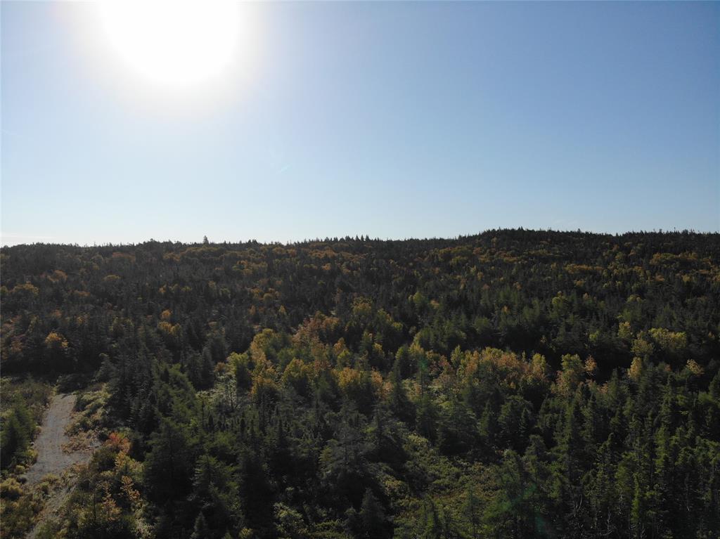 800A Country Road, BAY ROBERTS, Newfoundland, Canada A0A 1G0, ,Land,For Sale,Country Road,6009