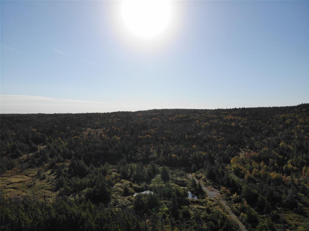 800A Country Road, BAY ROBERTS, Newfoundland, Canada A0A 1G0, ,Land,For Sale,Country Road,6009