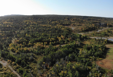 800A Country Road, BAY ROBERTS, Newfoundland, Canada A0A 1G0, ,Land,For Sale,Country Road,6009