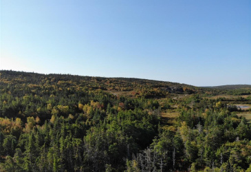 800A Country Road, BAY ROBERTS, Newfoundland, Canada A0A 1G0, ,Land,For Sale,Country Road,6009