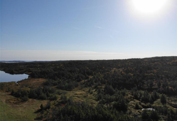 800A Country Road, BAY ROBERTS, Newfoundland, Canada A0A 1G0, ,Land,For Sale,Country Road,6009