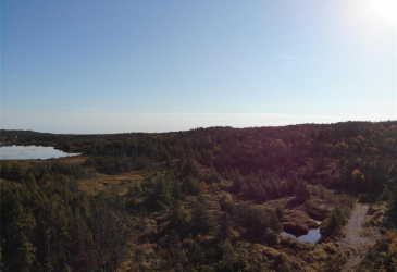 800A Country Road, BAY ROBERTS, Newfoundland, Canada A0A 1G0, ,Land,For Sale,Country Road,6009