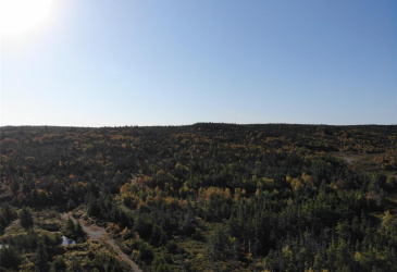800A Country Road, BAY ROBERTS, Newfoundland, Canada A0A 1G0, ,Land,For Sale,Country Road,6009