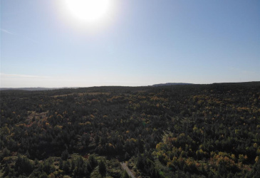 800A Country Road, BAY ROBERTS, Newfoundland, Canada A0A 1G0, ,Land,For Sale,Country Road,6009