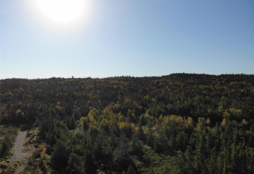 800A Country Road, BAY ROBERTS, Newfoundland, Canada A0A 1G0, ,Land,For Sale,Country Road,6009