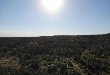 800A Country Road, BAY ROBERTS, Newfoundland, Canada A0A 1G0, ,Land,For Sale,Country Road,6009