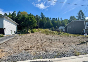 24 DRAKES HEAD ROAD, CLARENVILLE, Newfoundland, Canada A5A 4G3, ,Residential,For Sale,DRAKES HEAD ROAD,6010