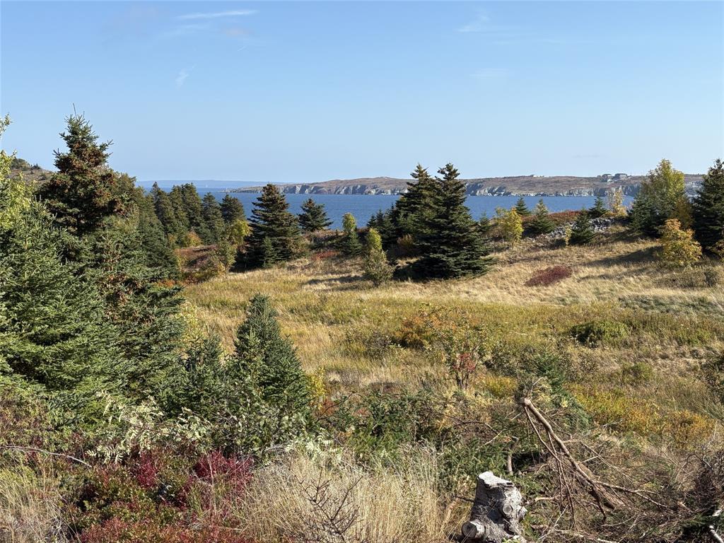 742-744 WATER STREET, BAY ROBERTS, Newfoundland, Canada A0A 1G0, ,0,Residential,For Sale,WATER STREET,6016