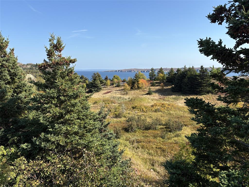 742-744 WATER STREET, BAY ROBERTS, Newfoundland, Canada A0A 1G0, ,0,Residential,For Sale,WATER STREET,6016