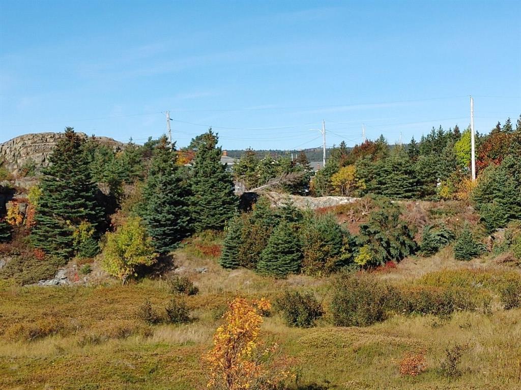 742-744 WATER STREET, BAY ROBERTS, Newfoundland, Canada A0A 1G0, ,0,Residential,For Sale,WATER STREET,6016