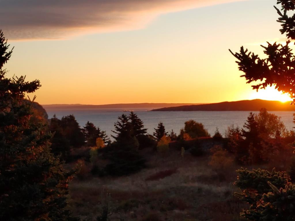 742-744 WATER STREET, BAY ROBERTS, Newfoundland, Canada A0A 1G0, ,0,Residential,For Sale,WATER STREET,6016