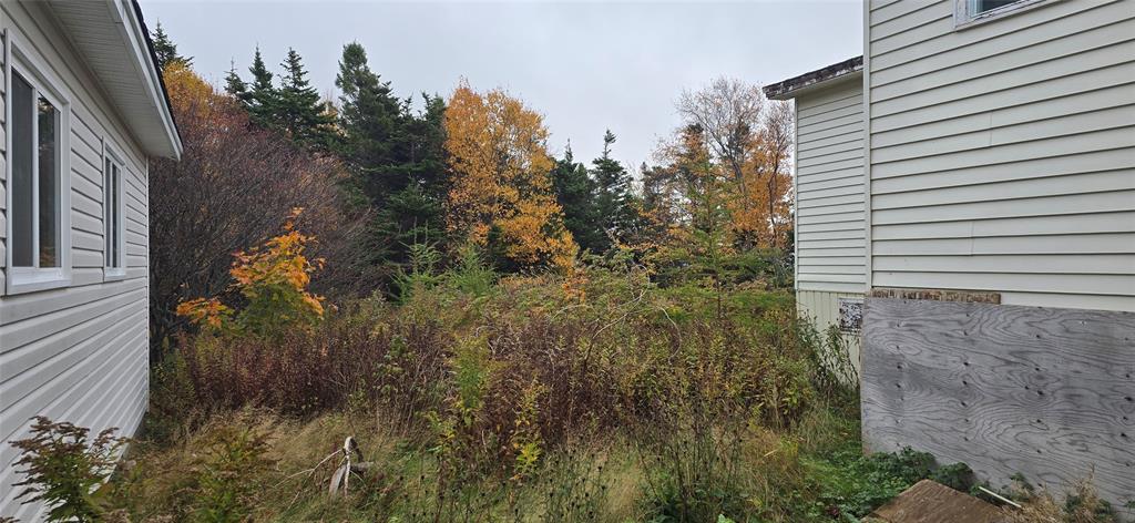 93 BRANCH ROAD, WINTERLAND, Newfoundland, Canada A0E 2Y0, ,1 BathroomBathrooms,Residential,Sold,BRANCH ROAD,6018